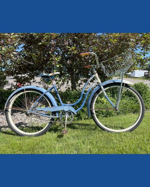 Schwinn Admiral fiche technique et avis